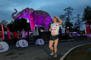 BIB: 
                            <button type="button" onclick="openModal(26529746)" class="btn btn-primary btn-sm float-right btn-popup" data-toggle="modal" data-target=".modal-high-quality">
                        <i class="fas fa-shopping-cart"></i> Add to Cart
                    </button>
                                            <button type="button" onclick="isThisMe(26529746, true)" class="btn btn-success btn-sm float-right btn-popup btn-isme hidden" data-toggle="tooltip" data-placement="bottom" title="นี่คือรูปของคุณใช่ไหม คลิกที่นี่เพื่อเอาเข้าอัลบั้ม">
                        <i class="fas fa-plus"></i> Add to album
                    </button>
                    <button type="button" onclick="isThisMe(26529746, false)" class="btn btn-warning btn-sm float-right btn-popup btn-isnotme hidden">
                        <i class="fas fa-ban"></i> Remove from album
                    </button>